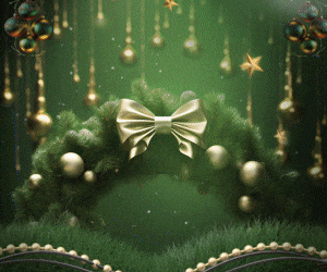 Banner taquarussu 300x250