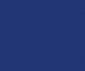 Banner ano novo pmt 300x250