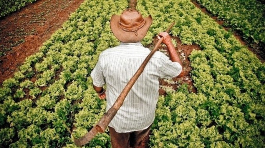 Center agricultura familiar agricultor com enxada nas costas agencia brasil
