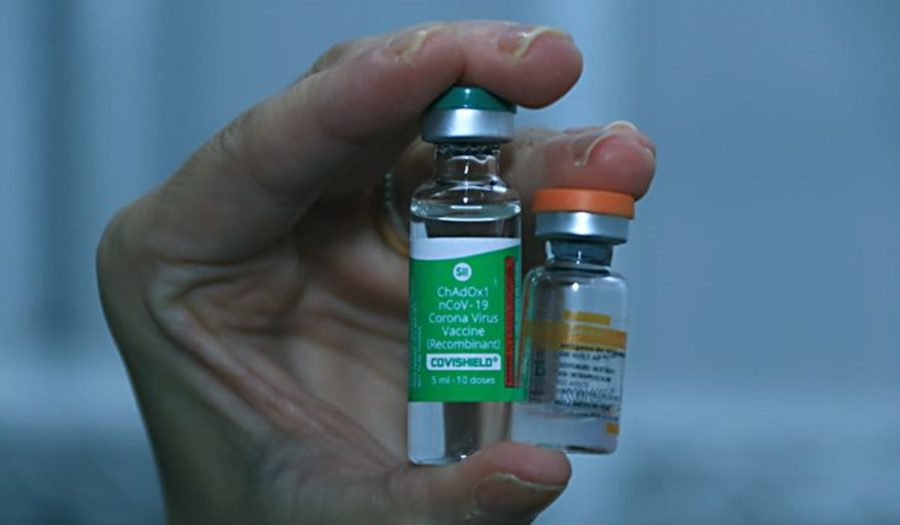 Center chegada da vacina vinda da india foto edemir rodrigues 5 730x426