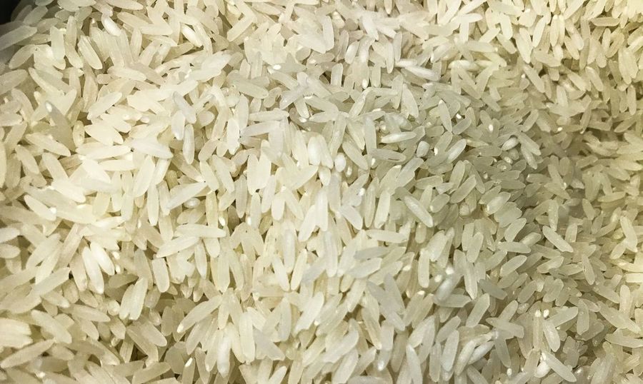 Center arroz 1009201525