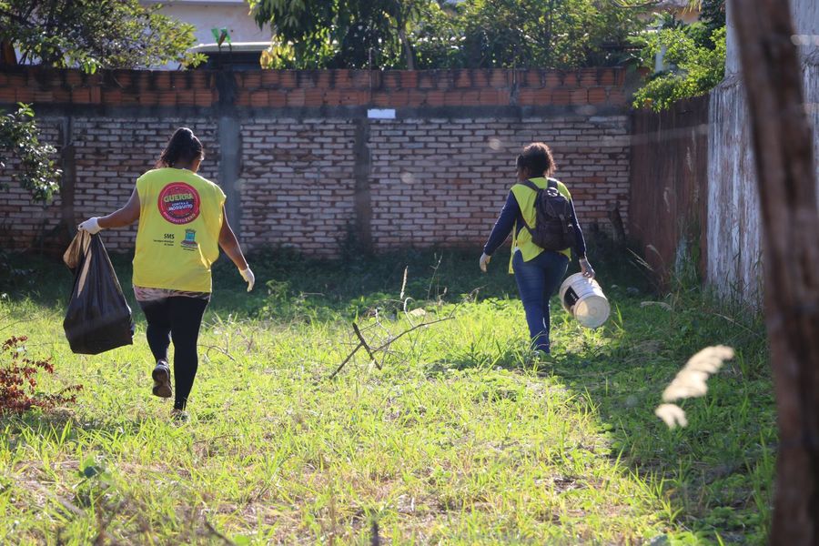 Center mutir o dengue 2