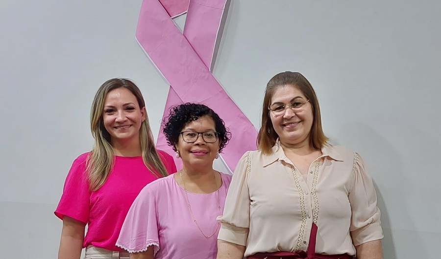 Center procuradoria da mulher da c mara de vereadores apresenta balan o de atividades