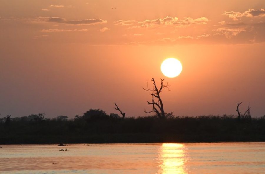 Center pantanal tempo foto bruno rezende 16 730x480 1 1 