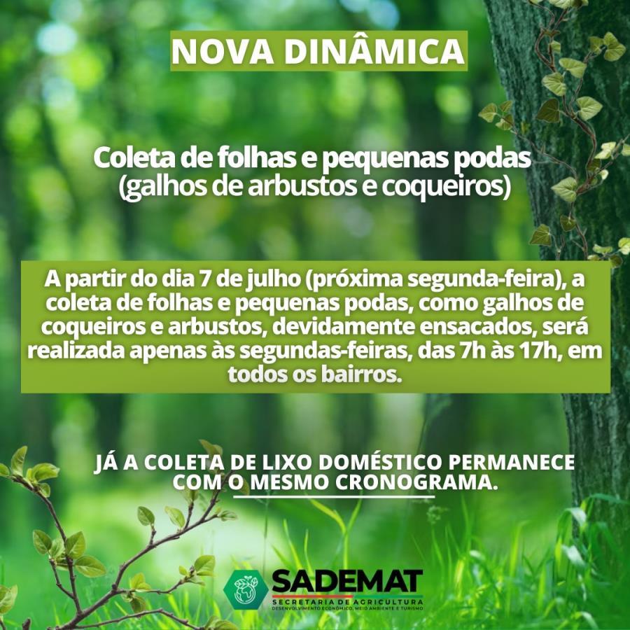 Center 05072025 lixo
