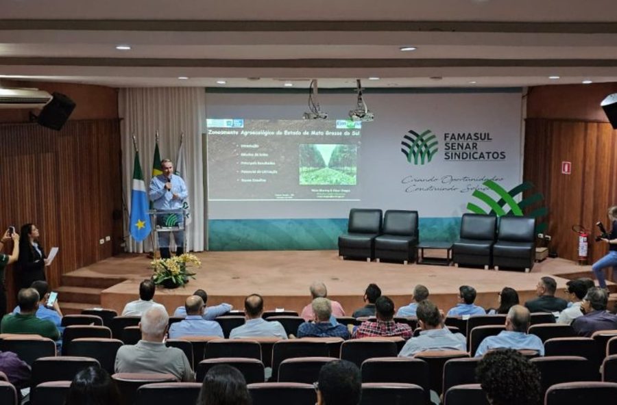 Center beretta solos 730x480