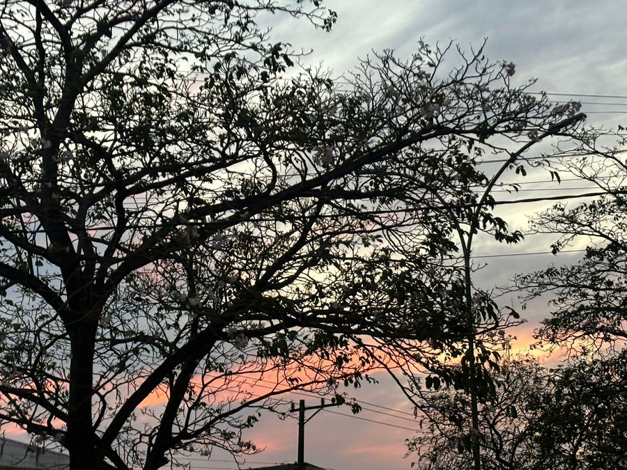 Center whatsapp image 2025 10 12 at 19.52.01