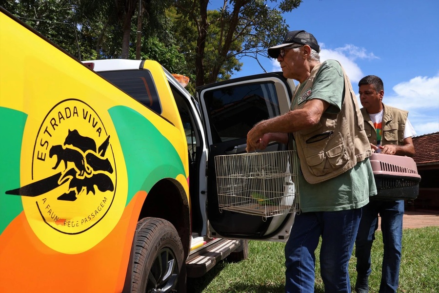 Center 18102025 estrada viva