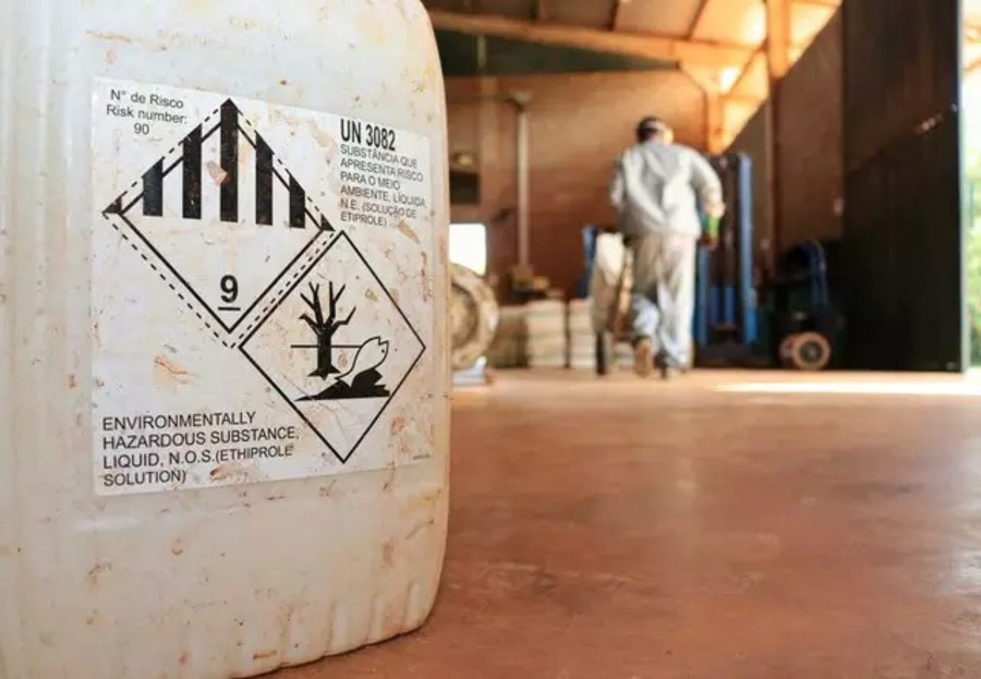 Center whatsapp image 2025 10 27 at 17.47.34 1