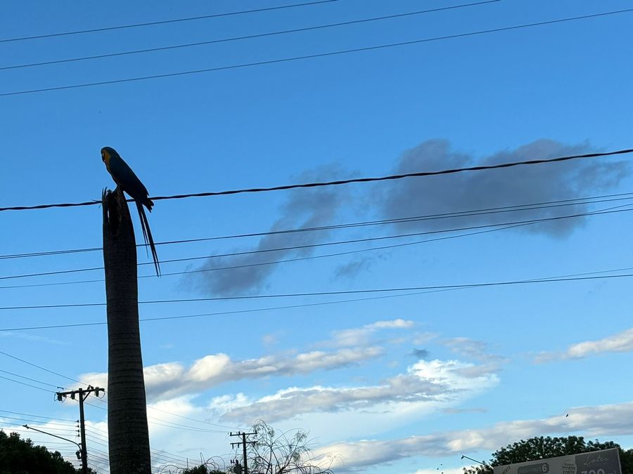 Center whatsapp image 2025 10 28 at 18.05.40