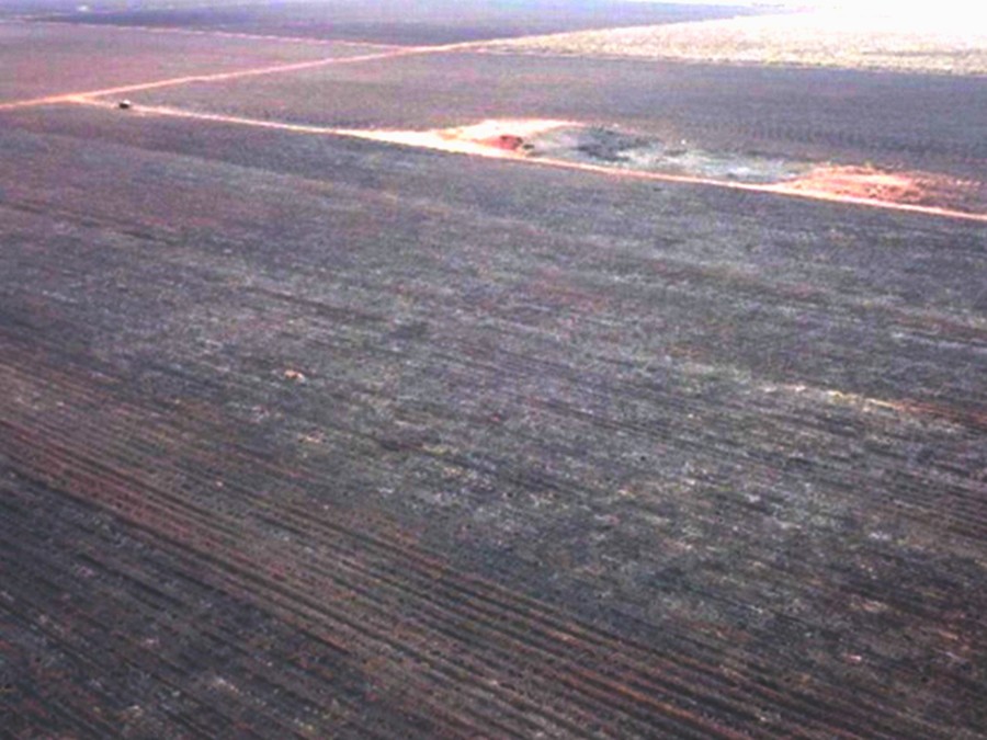 Center 04112025 queimada