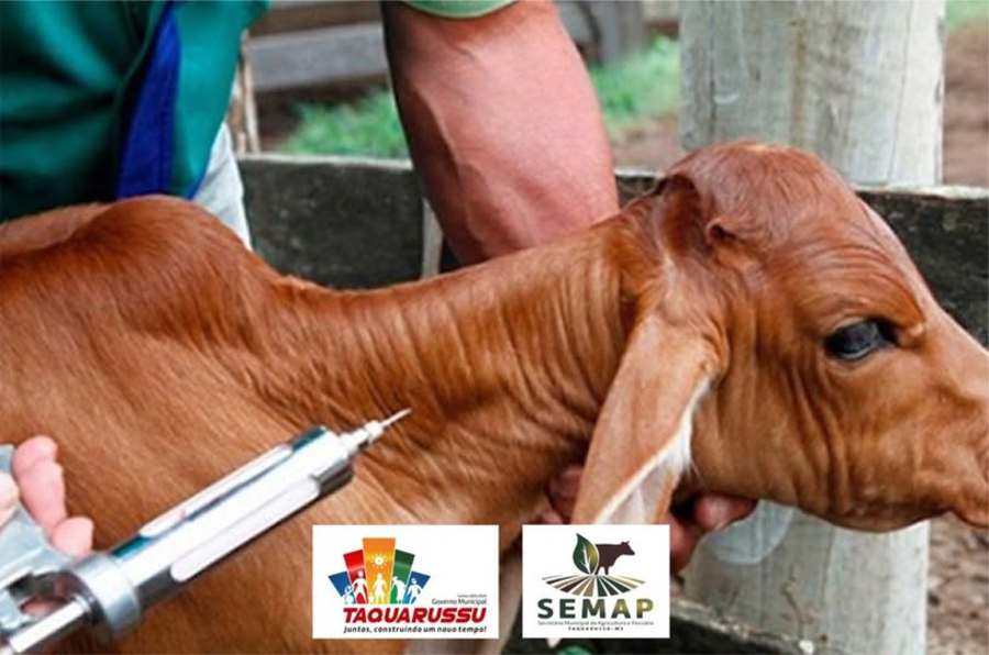 Center 574469800 1138303738498197 3600938968076310919 n