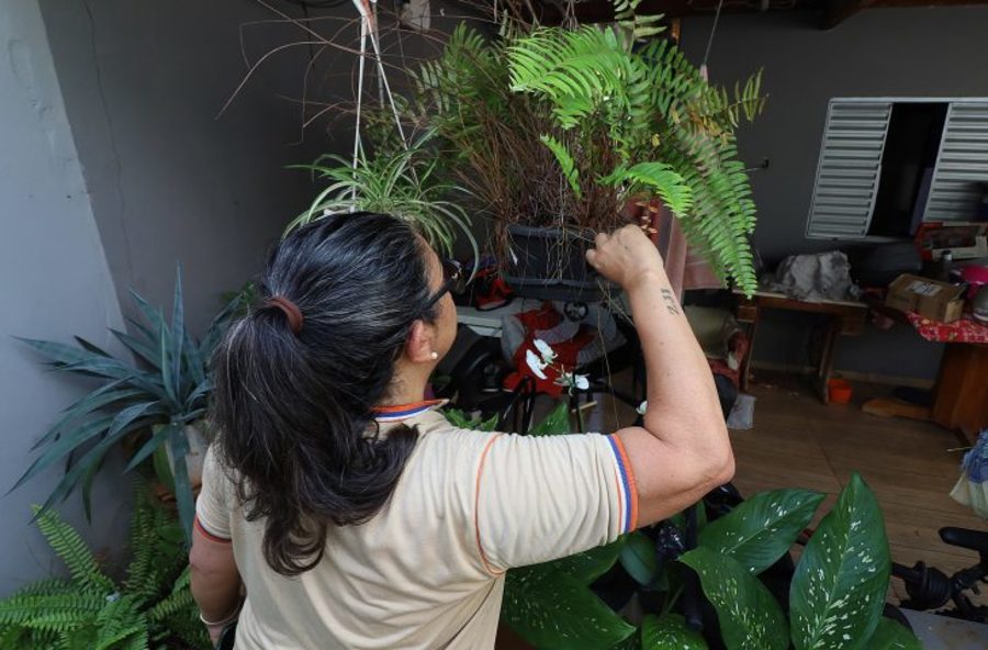 Center 06112025 dengue