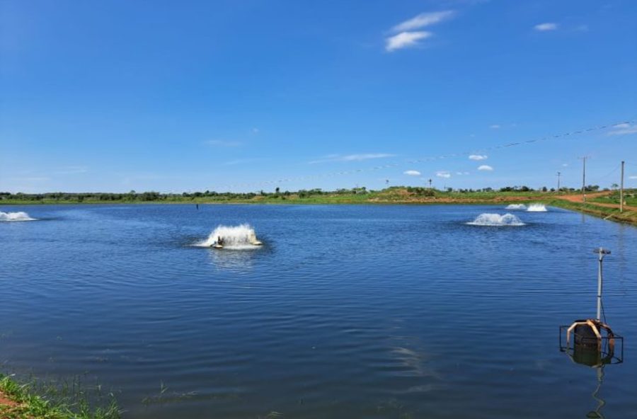 Center peixes abre 730x480