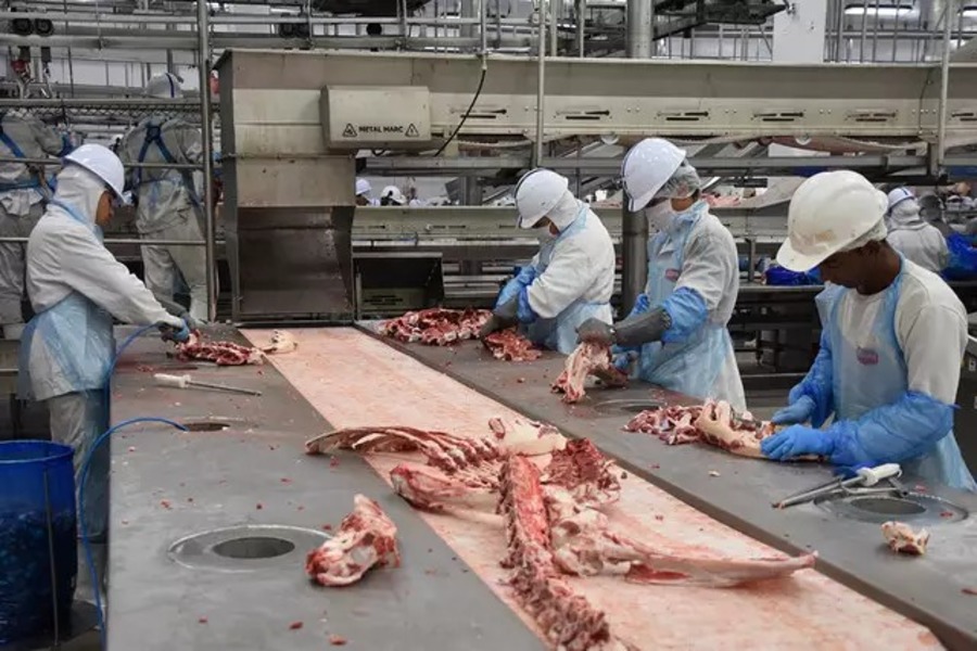 Center whatsapp image 2025 11 09 at 12.20.15