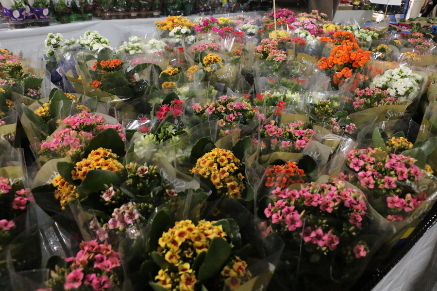 Center 10112025 feira de flores da apae