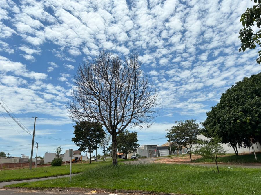 Center whatsapp image 2023 12 04 at 00.24.09