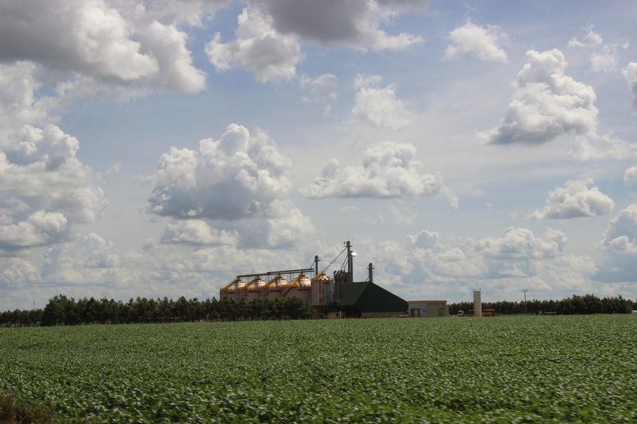 Center silos lavouras