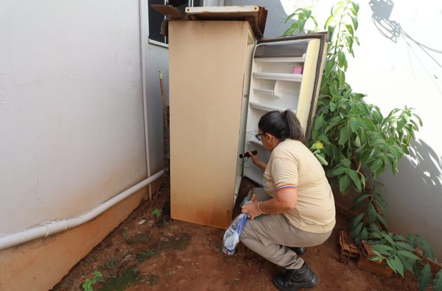 Center foto alvaro rezende 10 730x480