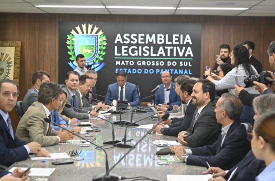 Center reuniao alems vice gov foto max arantes casacivil 730x480