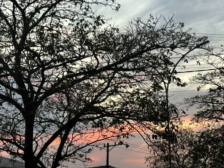 Center center whatsapp image 2025 10 12 at 19.52.01