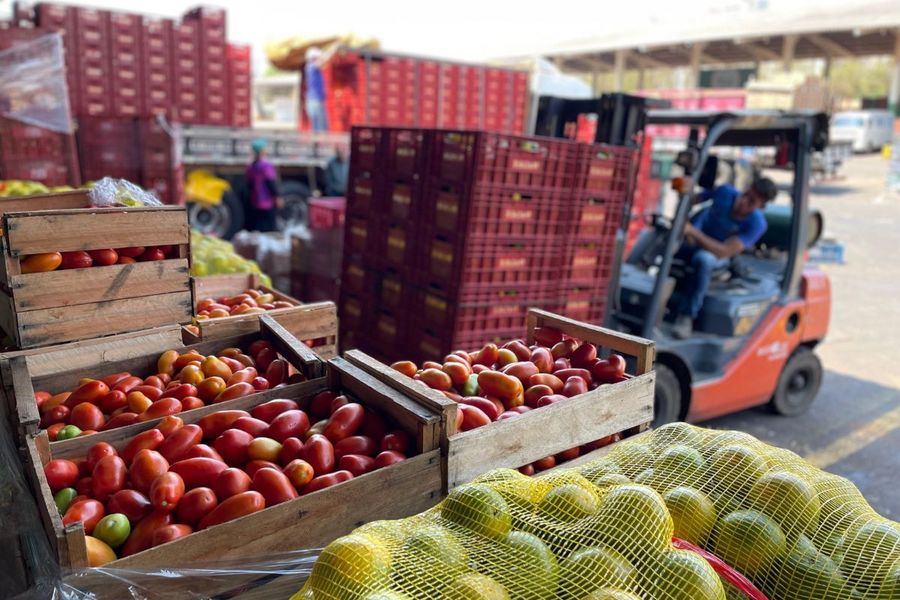 Center 20112025 ceasa