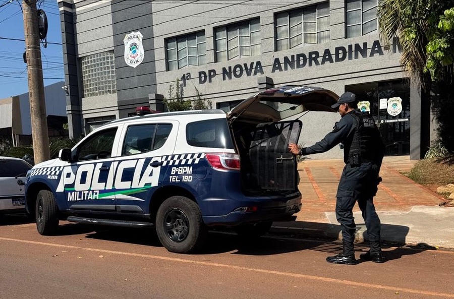 Center 20112025 pm arquivo