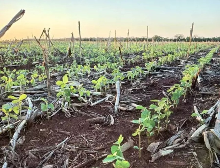 Center whatsapp image 2025 11 23 at 10.12.44