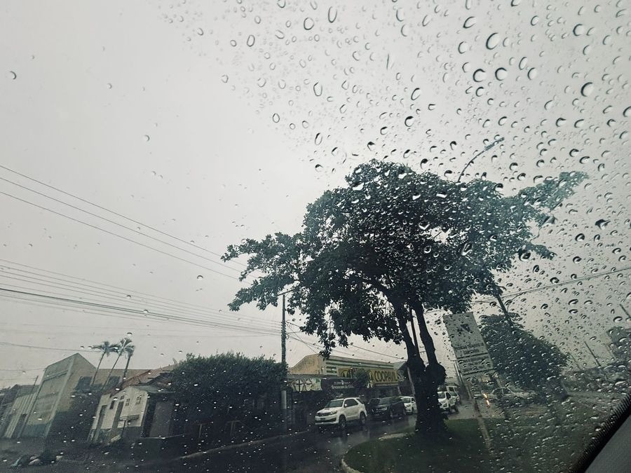 Center center center whatsapp image 2025 08 19 at 20.20.12 1 