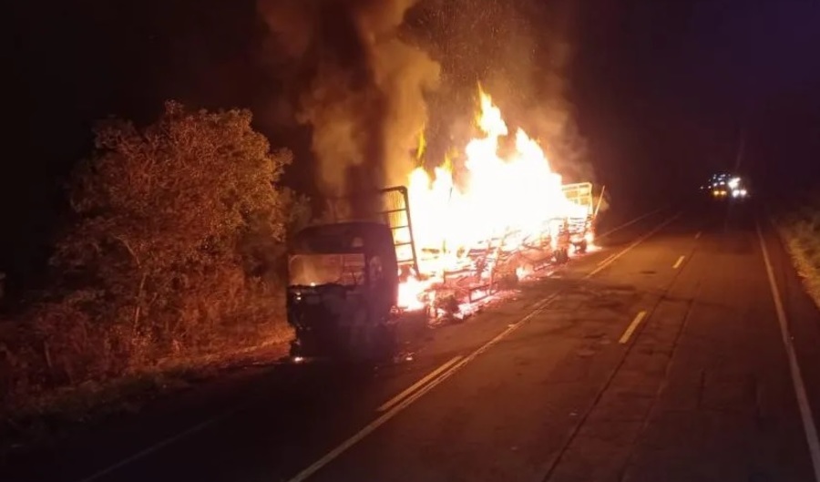 Center 28112025 eucalipto