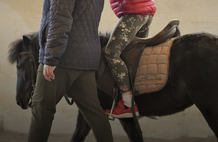 Center 29112025 arena