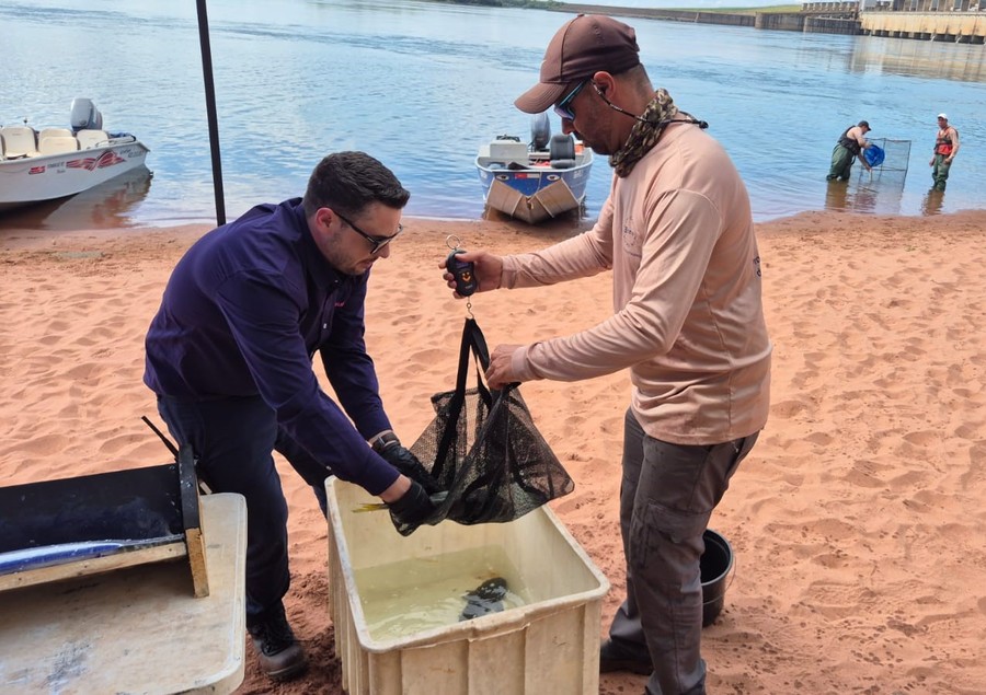 Center cesp monitoramento de ictiofauna 2025.2026 2