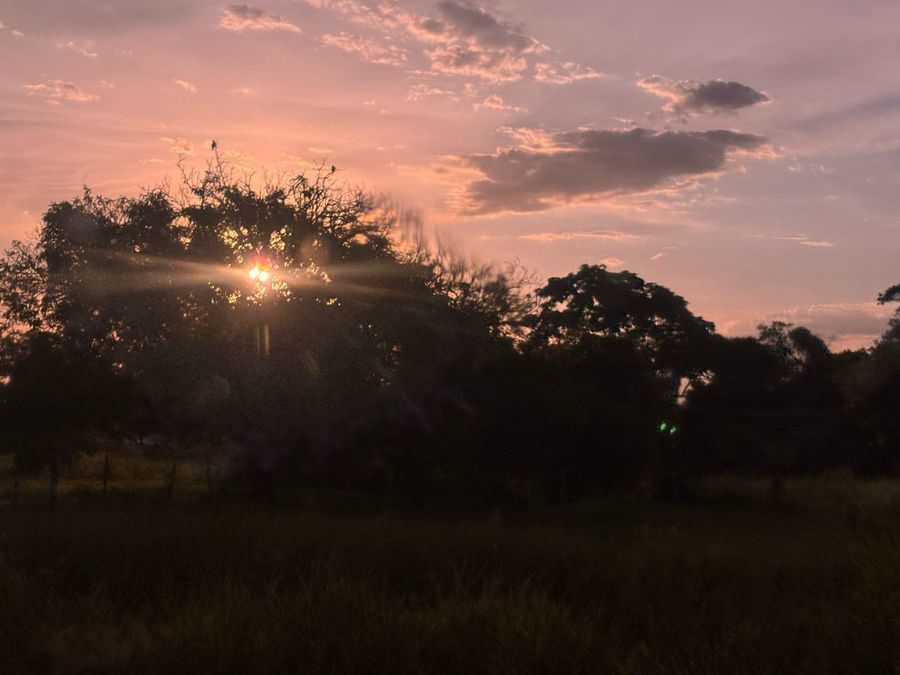 Center center whatsapp image 2025 03 20 at 18.47.41