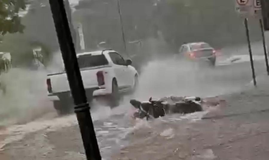 Center 14122025 ivivvvv