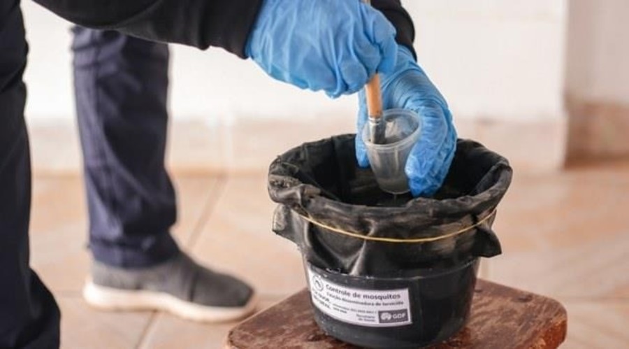 Center whatsapp image 2025 12 15 at 13.21.56