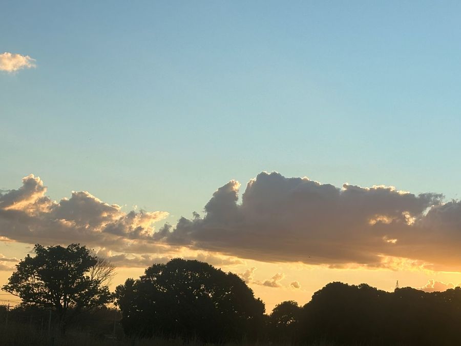 Center whatsapp image 2025 12 15 at 19.11.16