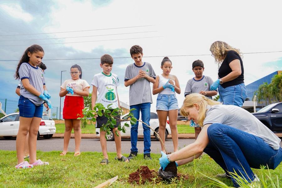 Center projeto bosque dos ip s refor a compromisso ambiental em nova andradina2