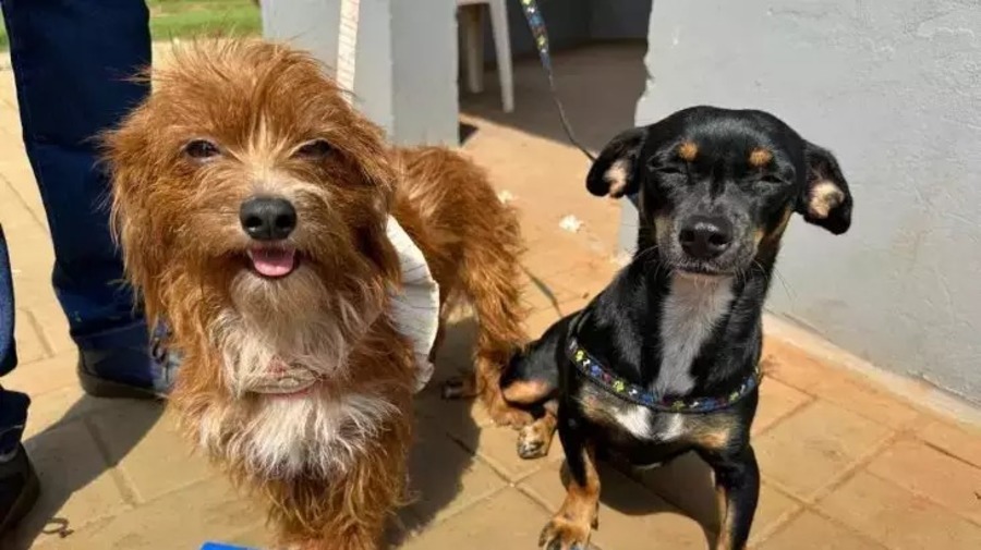 Center whatsapp image 2025 12 26 at 16.56.19