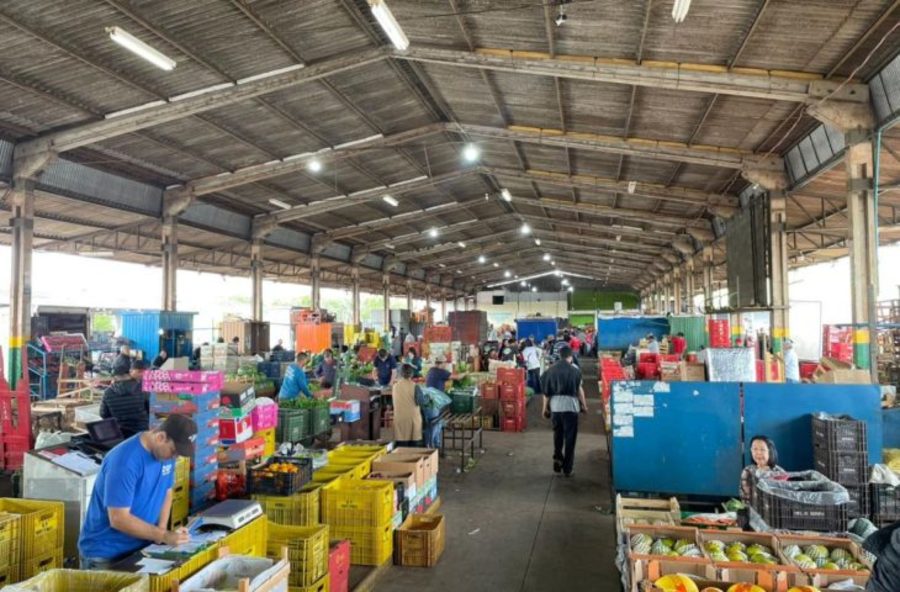 Center 10012026 ceasa