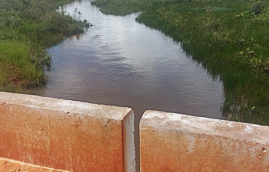 Center 11012026 baile