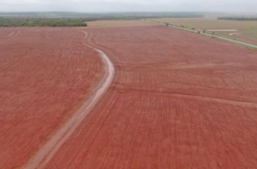 Center fco foto 730x480