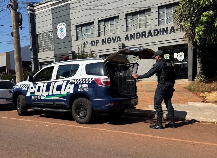 Center whatsapp image 2026 01 19 at 11.30.46