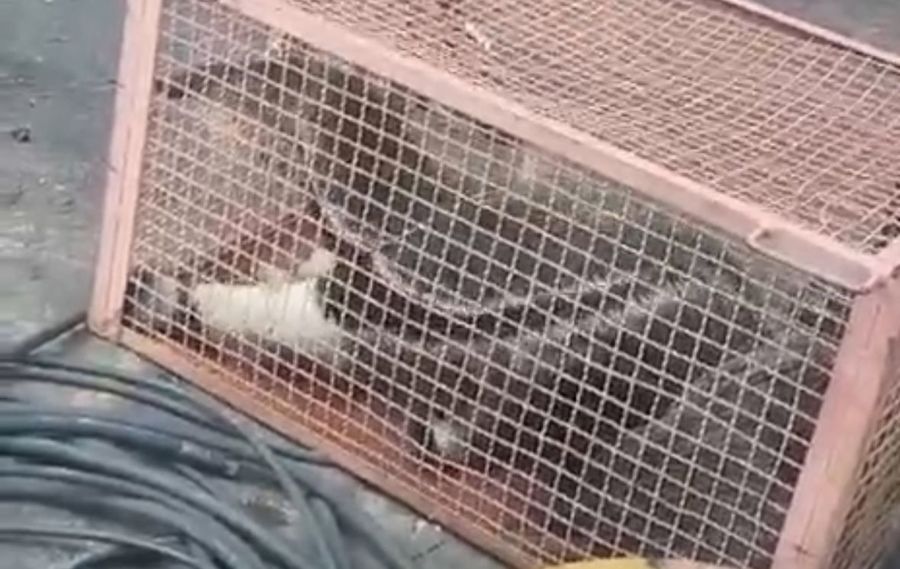 Center whatsapp image 2026 01 20 at 16.31.55