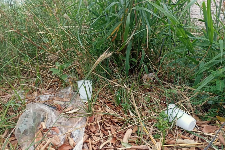 Center 24012026 lote9