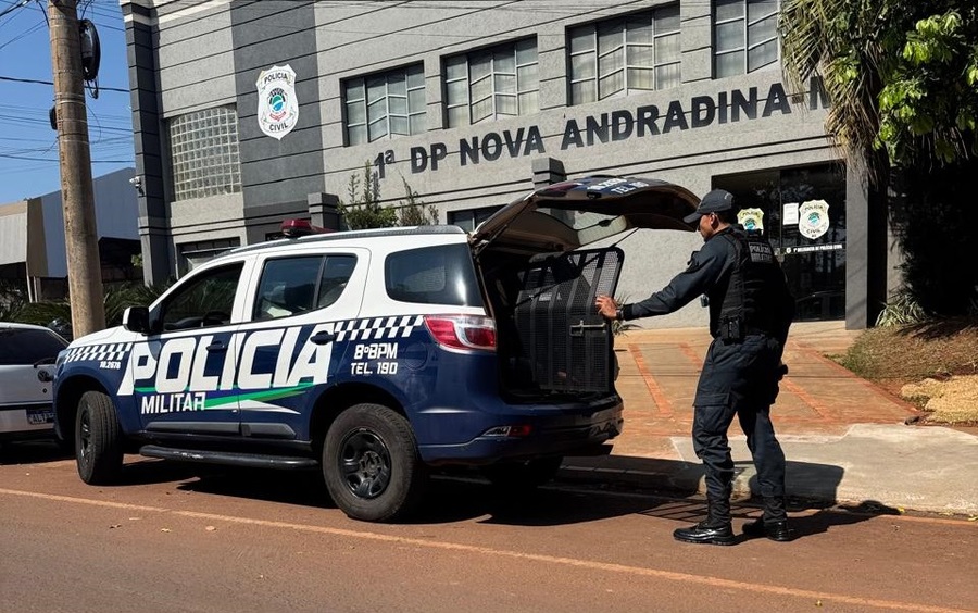 Center 24012026 furto