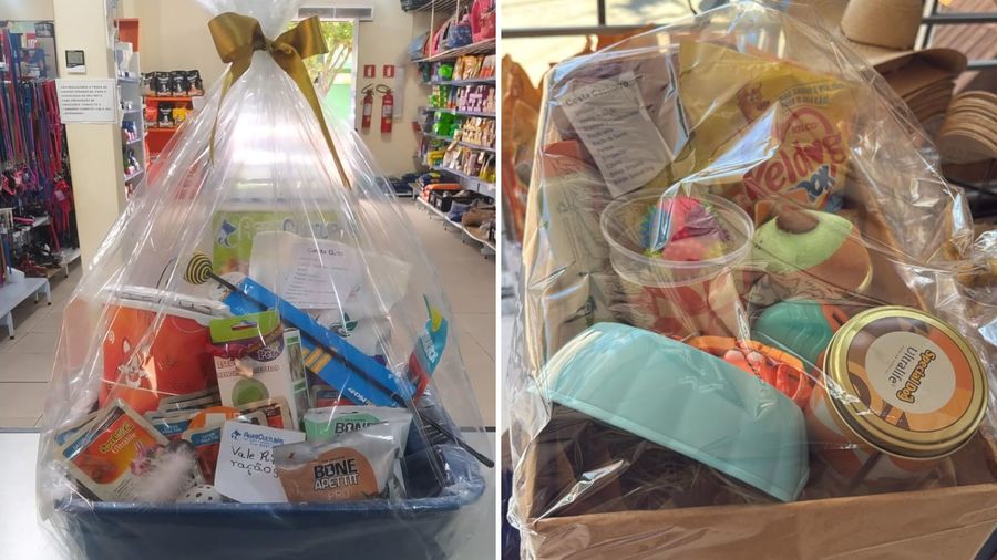 Center 10022026 cestas