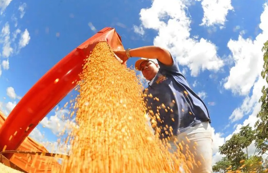 Center 12022026 graos