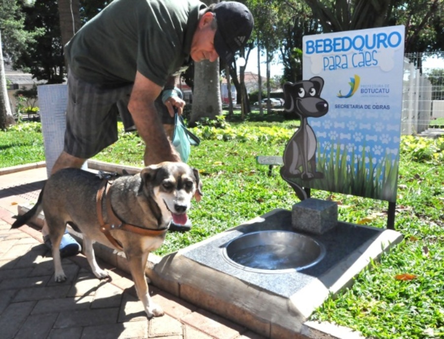 Center 24022026 bebed