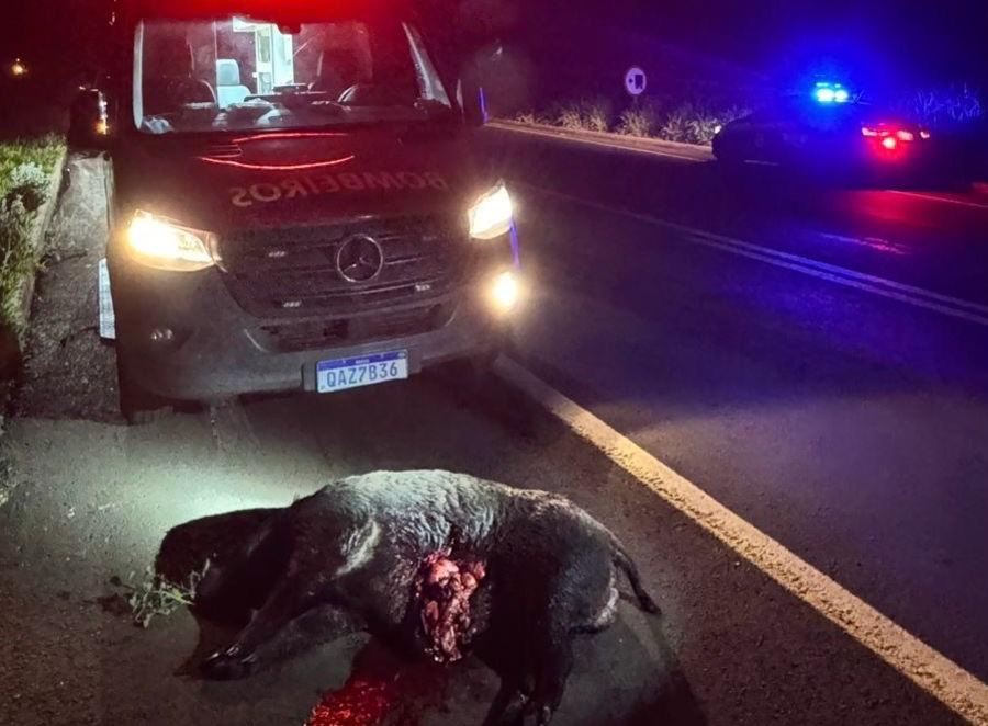 Center 7afb038d 515e 41d2 a1c6 2832ccb51b87