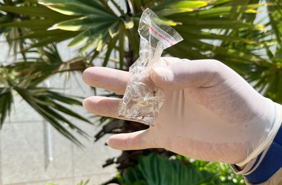 Center 25022026 dengue